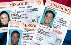 The Missouri Driver License